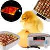 Kruger Meier ProEggora 56 Auto - inkubator z termostatem na Podgląd zdjęcia produktu 11