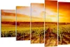 Bild auf Leinwand - Leinwandbild - Weinberg Aussicht Produktbild-Vorschau 1