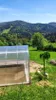 Polykarbonátový skleník Frux Strong 6x3 m / 18m2 - 6mm Náhled obrázku produktu 5