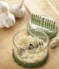 A garlic chopper with chopped garlic inside, next to whole garlic bulbs and peeled garlic cloves on a wooden surface. Produktbild-Vorschau