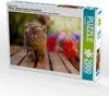 CALVENDO Puzzle Ein Motiv aus dem Kalender Kittens - Produktbild-Vorschau 1