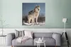 MuchoWow® Poster Husky im Schnee 75x75 cm - Wand Dekoration Produktbild-Vorschau 5