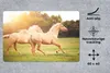 MuchoWow® Schreibtischunterlage Pferde - Gras - Sonne 60x40 Produktbild-Vorschau 2