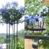 Treillis circulaire pour jardin, support résistant aux Voir les images du produit 5