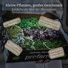 LERAVA® x Profarms Zmes mikrozeleniny  – sada 6 balení Náhľad obrázku produktu 6