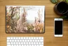 MuchoWow® Laptop Aufkleber Sticker Cover Schilf - Sonne - Produktbild-Vorschau 2