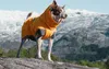 Hurtta Expedition Wintermantel Parka, Farbe:dunkelgrau, Produktbild-Vorschau 10