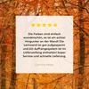 MuchoWow® - Leinwandbilder - Herbst - Rot - Wald, Wandbild, Produktbild-Vorschau 8