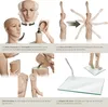 Mannequin de vitrine - femme Voir les images du produit 4