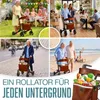 Rollator KESSER® in alluminio pieghevole, regolabile in Anteprima dell’immagine prodotto 15