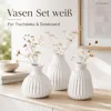 Boltze 5549700, Vase mit runder Form, Porzellan, Weiß, Produktbild-Vorschau 20
