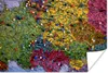 MuchoWow® Poster Karte - Europa - Pin 120x80 cm - Bilder Produktbild-Vorschau 1