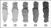 A series of graphite pencil swatches showing different grades of hardness, from HB to 8B, with watercolor effects. Produktbild-Vorschau