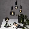 A collection of decorative LED light bulbs and a small potted plant are arranged on a white surface against a gray background. Podgląd zdjęcia produktu