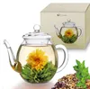 Creano Teekanne aus Glas mit Deckel für 500ml Tee für Produktbild-Vorschau 5