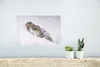 MuchoWow® Poster Schneeleopard - Schnee - Gelb 30x20 cm - Produktbild-Vorschau 5