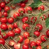 Toraf Gemüsesamen Bajaja Kirschtomate, Packung 0,3g Produktbild-Vorschau 8