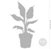 Bloomique - Zestaw 3 szt. - Strelitzia Reginae - Roślina Podgląd zdjęcia produktu 5