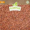 -Kresse (900 g) | -Kressesamen von Flortus Produktbild-Vorschau 4
