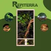 Repiterra® Hochterrarium Seitenbelüftung Holzterrarium OSB Produktbild-Vorschau 6