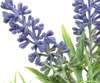 Decoris Lavendelstrauß lila 25cm Produktbild-Vorschau 3