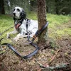 Non-stop dogwear Hundeleine Touring Bungee Leash Produktbild-Vorschau 5