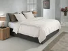 Zohome Satinato dekbedovertrek - 135x200 cm – Katoen-satijn Productafbeelding-voorbeeld 2
