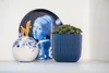 A decorative arrangement of a vase with a figurine, a plate with a painting, and a potted plant on a shelf. Podgląd zdjęcia produktu