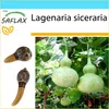 SAFLAX Dárková sada - Africká obří tykev - Lagenaria Náhled obrázku produktu 5