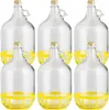 lilawelt24 6 x 5L Glasballon (Gallone) mit Schutzkorb, Produktbild-Vorschau 1