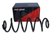 2X Maxgear Feder Fahrwerksfeder Hinten Produktbild-Vorschau 2