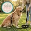 HUND IST KÖNIG 10m Schleppleine Hund - Schleppleine 10m für Produktbild-Vorschau 8