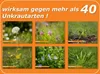 Rasen-Unkrautfrei Weedex Produktbild-Vorschau 15