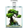A small aquarium with a decorative bonsai tree made of moss and driftwood. Anteprima dell’immagine prodotto