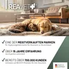 REAVET Gelenk Liquid Tropfen für Hunde & Katzen 100ml I zur Produktbild-Vorschau 5