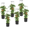 6x Tomatenpflanze aus Kunststoff Set 6 Stk Pflanzkübel 28 Produktbild-Vorschau 1