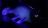 Quantum Freak of Nature SwimBait Tench 1/0 schnell sinkend Produktbild-Vorschau 12