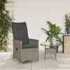 Sedia da giardino pieghevole con cuscini, Grigio Anteprima dell’immagine prodotto 3