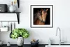MuchoWow® Gerahmtes Poster Pferde - Liebe - Braun 40x40 cm Produktbild-Vorschau 4