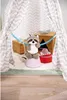 NICI 48394 Kuscheltier 25 cm Plüschtier für Mädchen, Jungen Produktbild-Vorschau 5