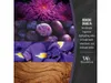 A collage of images showing flowers, plums, iris, and wood grain, with text describing a fragrance. Podgląd zdjęcia produktu