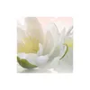 Bvlgari Omnia Crystalline Eau De Toilette 65 ml Produktbild-Vorschau 9