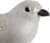 Boules de Noël - oiseaux 2 pcs. Ruhy 22338 Voir les images du produit 4