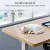 A white cat sleeping on a wooden desk with a window in the background. Náhled obrázku produktu