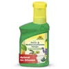 Neudorff  - Azet Zitrus- & MediterranpflanzenDünger 250 ml Produktbild-Vorschau 1