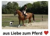 Wintec Bates Maßschablone  Schablone  zur Bestimmung der Produktbild-Vorschau 3