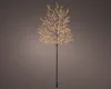 A decorative LED tree with warm white lights against a plain background. Anteprima dell’immagine prodotto