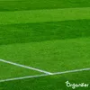 Pro Turf & Lawn Nawóz – o kontrolowanym uwalnianiu (20 kg – Podgląd zdjęcia produktu 3