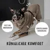 RUDELKÖNIG Hundebademantel Grau M – Saugstarker Produktbild-Vorschau 4