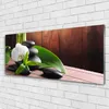 Glasbilder 125x50 Wandbild Druck auf Glas Blumen Steine Produktbild-Vorschau 2